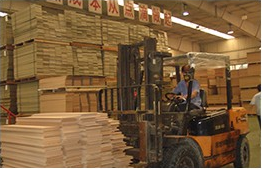 歐氏楓樺木一級運(yùn)動(dòng)面板